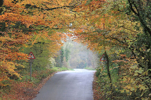 autumn-saintbury