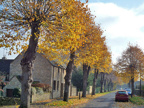 burford-autumn