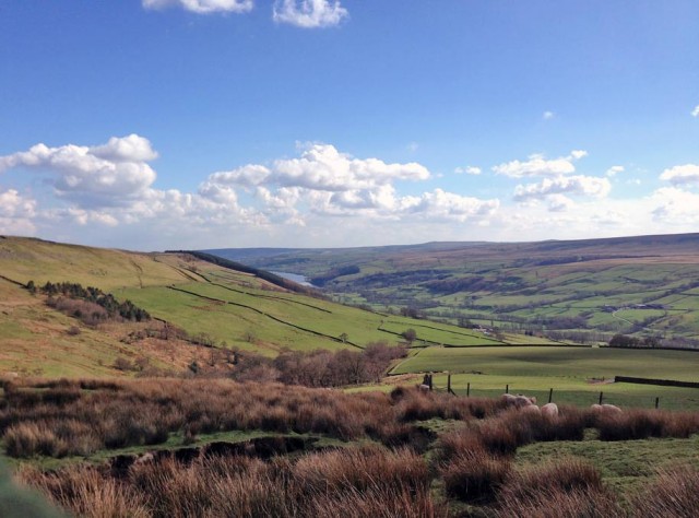 View from the top of Trapping HIll