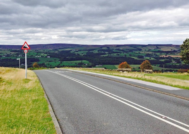 cow-calf-Ilkley