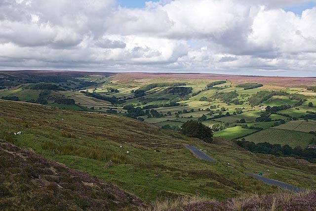 Rosedale-chimney