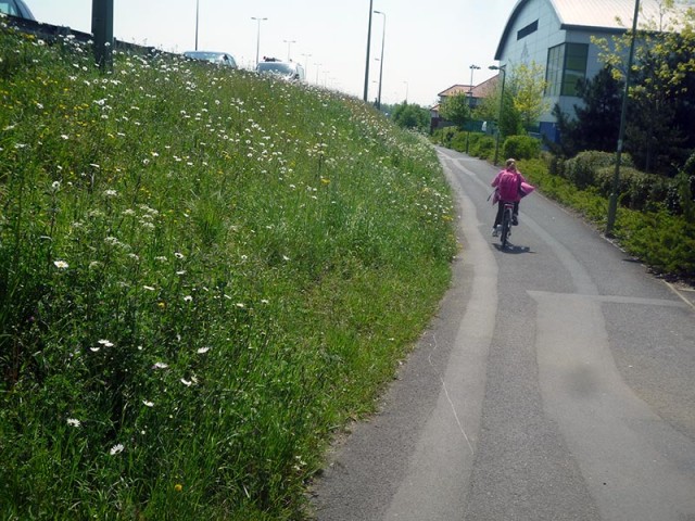 cycle-path-grass-verge-oxford