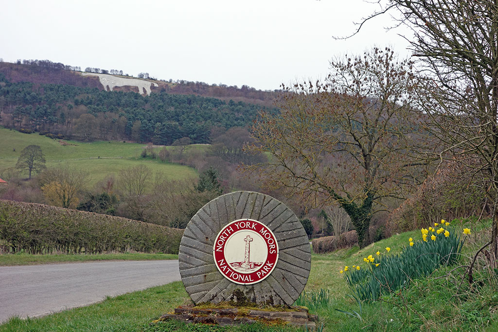 North york. Норт-Йорк-Мурс. Северный Йорк Мурс. North York Moors National Park. Прогулка North York Moors.