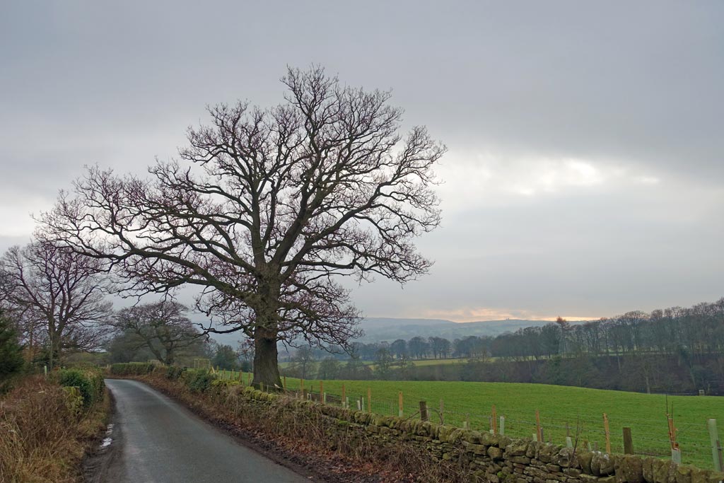 Quiet narrow roads