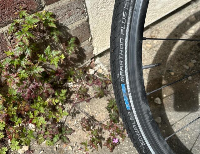schwalbe-marathon-plus